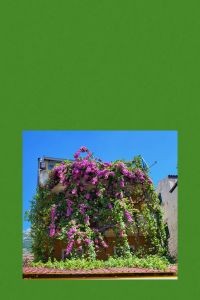 Műtrágya.hu - Harkály Gazdabolt, Kertwebáruház