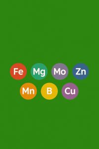 Műtrágya.hu - Harkály Gazdabolt, Kertwebáruház