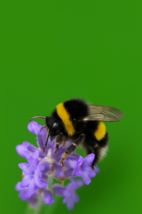 Műtrágya.hu - Harkály Gazdabolt, Kertwebáruház