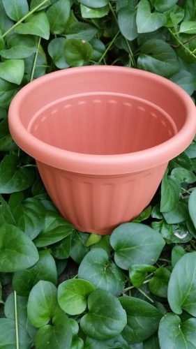 Virágcserép alátéttel  20 cm átmérővel