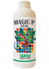 MAGIC P STAR 1l