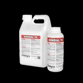 Kendal TE 1l