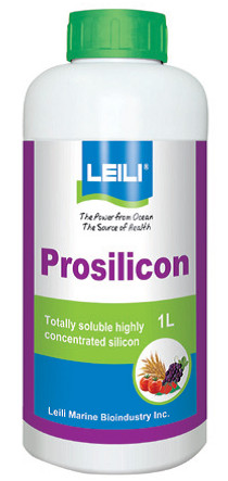 Prosilicon 0,1 l