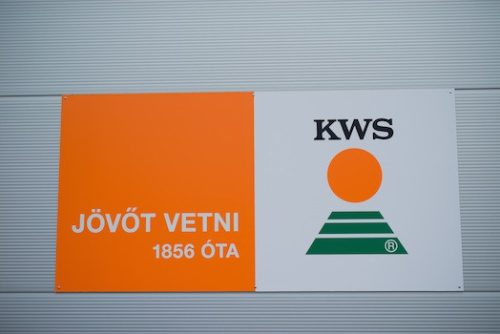 KWS Kinemas Kukorica vetőmag 50000 szem zsák FAO 370