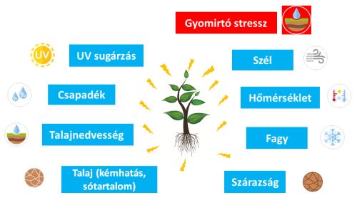 RhizoMagic 10 lit növény és talajkondícionáló