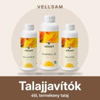 Talajjavítók