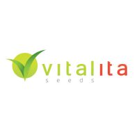 Vitalita Seeds profi zöldség vetőmagok