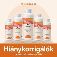 Hiánykorrigálók