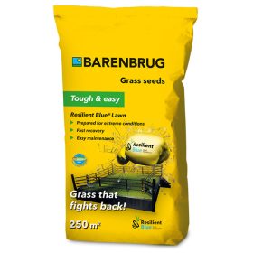 Fűmag Resilient Blue 5kg BARENBRUG