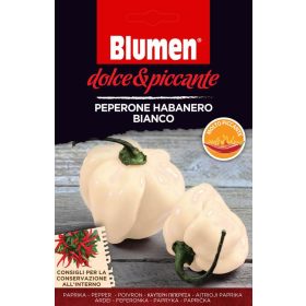 Chili paprika Habanero fehér 0,04g BLUMEN