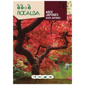 Japán juhar 0,5g ROCALBA