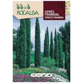 Európai ciprus 2g ROCALBA