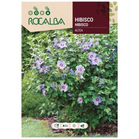Mályvacserje 2g ROCALBA
