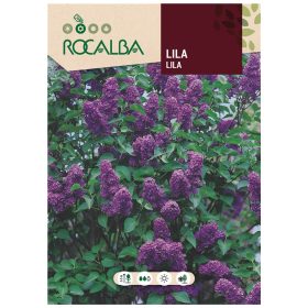 Orgona 2g ROCALBA