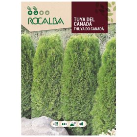 Nyugati tuja 0,5g ROCALBA