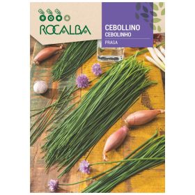 Metélőhagyma 2g ROCALBA