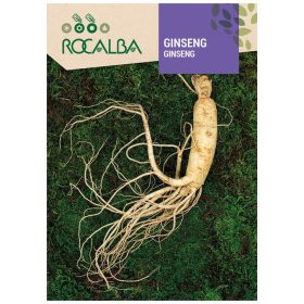 Ginzeng 4 szem ROCALBA