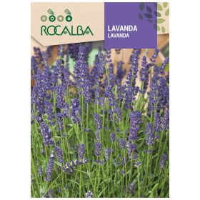 Levendula 1g ROCALBA