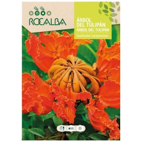 Afrikai tulipánfa 0,5g ROCALBA