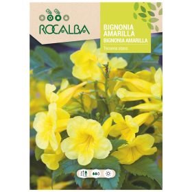Sárga trombitacserje 1g ROCALBA