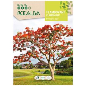 Pillangófa 1g ROCALBA