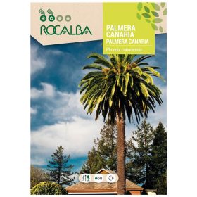 Kanári datolyapálma 10g ROCALBA