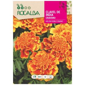Bársonyvirág Helen 4g ROCALBA