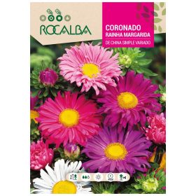 Őszirózsa margarétavirágú szk. 6g ROCALBA