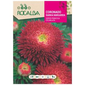 Őszirózsa Princess piros 2g ROCALBA
