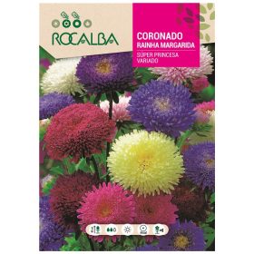 Őszirózsa Princess szk. 3g ROCALBA