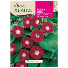 Hajnalka Piros 6g ROCALBA