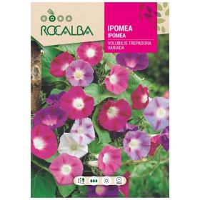 Hajnalka szk 10g ROCALBA