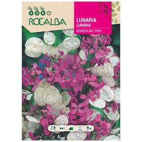 Holdviola 6g ROCALBA