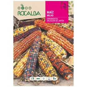 Díszkukorica 10g ROCALBA