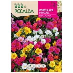 Porcsinrózsa színkeverék 1g ROCALBA