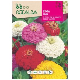Legényvirág nagyvirágú színkeverék 6g ROCALBA