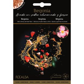 Ehető virágok Begónia 0,1g ROCALBA