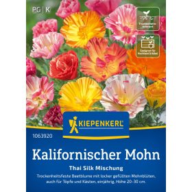   Kaliforniai kakukkmák Thai Silk Mix 'PG-K' KIEPENKERL