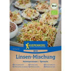 BIO-csíramag lencse-mix 40g 'PG-N' KIEPENKERL
