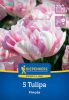 Tulipán kései teltvirágú Finola (5 db/cs) 'PG-4' KIEPENKERL