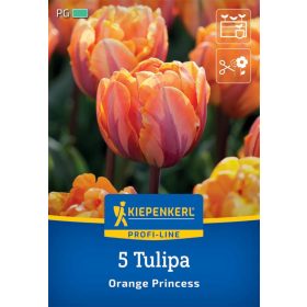   Tulipán Orange Princess (5 db/cs) 'PG-4' KIEPENKERL