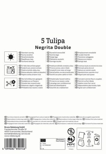 Tulipán kései teltvirágú Negrita Double (5 db/cs) 'PG-4' KIEPENKERL
