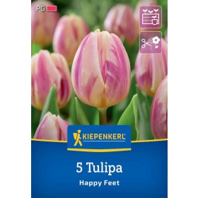   Tulipán triumph Happy Feet (5 db/cs) 'PG-3' KIEPENKERL
