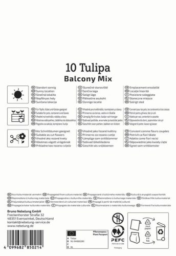 Tulipán csokros Balcony Mix (alacsony tulipánok) (10 db/cs) 'PG-5' KIEPENKERL