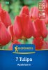 Tulipán Darwin-hibrid Apeldoorn (7 db/cs) 'PG-4' KIEPENKERL