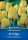 Tulipán Darwin-hibrid Golden Apeldoorn (10 db/cs) 'PG-4' KIEPENKERL