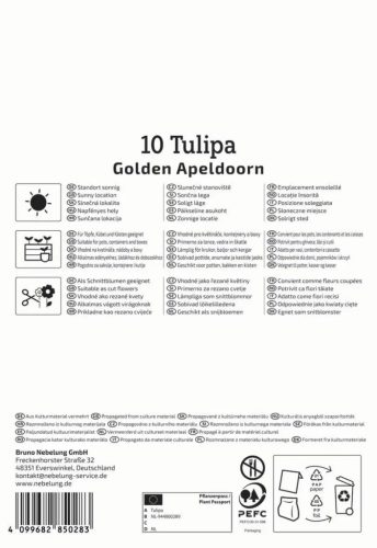 Tulipán Darwin-hibrid Golden Apeldoorn (10 db/cs) 'PG-4' KIEPENKERL