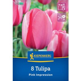   Tulipán Darwin-hibrid Pink Impression (8 db/cs) 'PG-4' KIEPENKERL