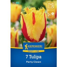   Tulipán rojtos Party Clown (7 db/cs) 'PG-4' KIEPENKERL