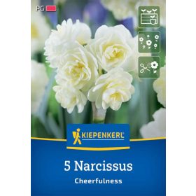   Nárcisz teltvirágú Cheerfulness (5 db/cs) 'PG-3' KIEPENKERL